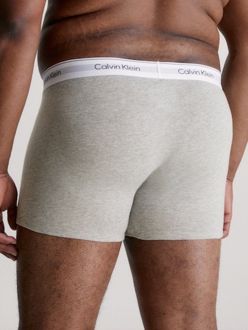 Calvin Klein Underwear Plus Bokserishortsit värissä harmaa