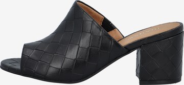 Bianco Mules 'Cate' in Black