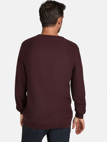 PIERRE CARDIN Pullover in Rot