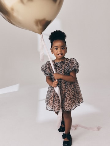 Next Dress in Brown