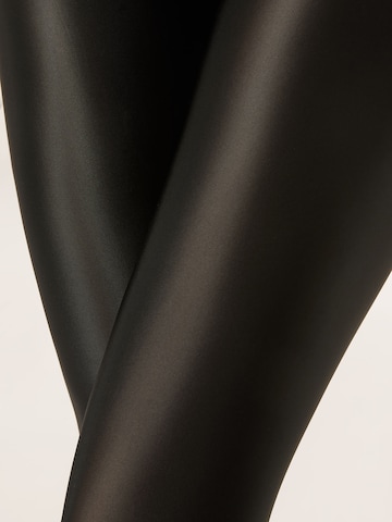 CALZEDONIA Tights in Black