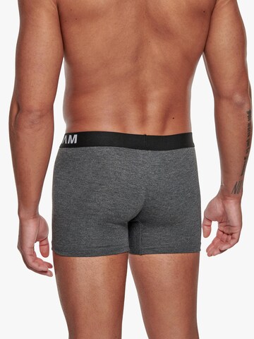 Adam Boxershorts '3er Pack' in Grau
