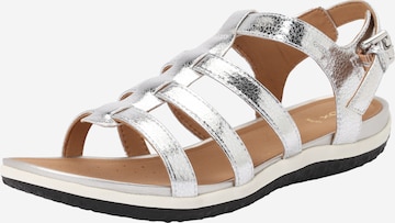 GEOX Remmisandaalit 'VEGA' värissä hopea: etupuoli