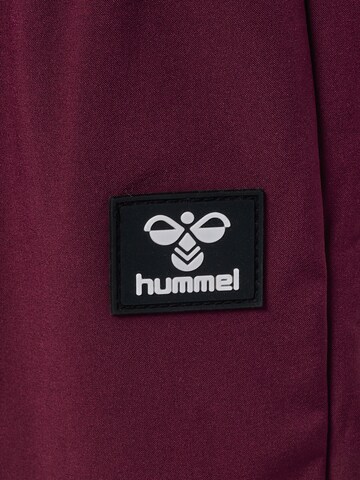 Hummel Tapered Sporthose 'Jupitor' in Rot