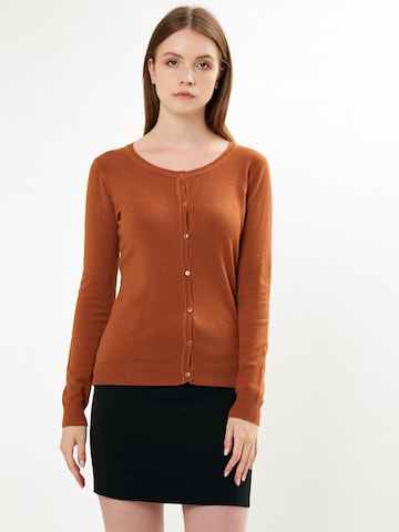 Influencer Knit Cardigan in Brown: front