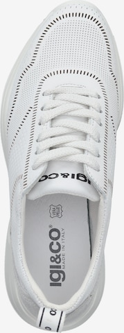 IGI&CO Sneakers in White