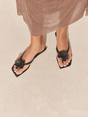 Next Japonke | rjava barva