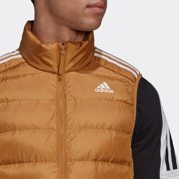 ADIDAS SPORTSWEAR Sportbodywarmer in Bruin