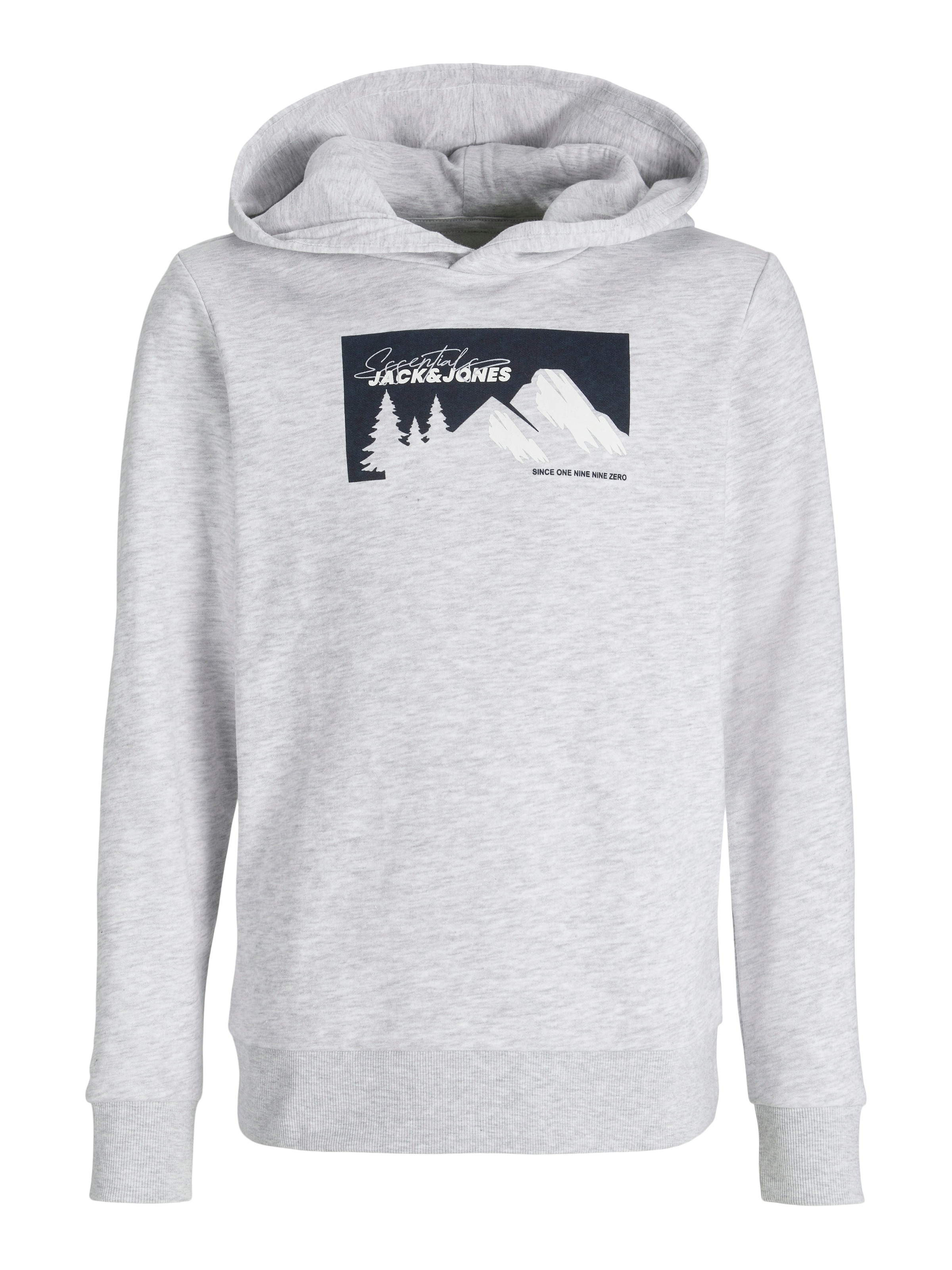 Jack & Jones Junior Sweatshirt in Grey