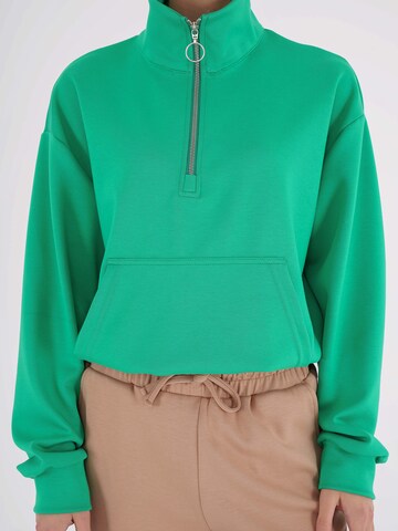 FRESHLIONS Sweatshirt in Groen