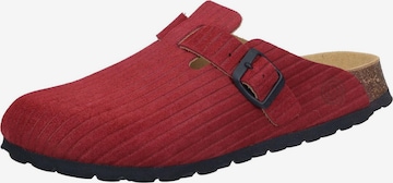 DR. BRINKMANN Clogs 'Clogs NERPIO' in Red: front