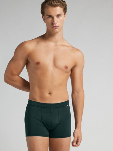 INTIMISSIMI Boxer in Grün