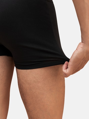 Massi Morino Boxer shorts in Black