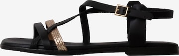 Oh my Sandals Sandale in Schwarz: Vorderseite