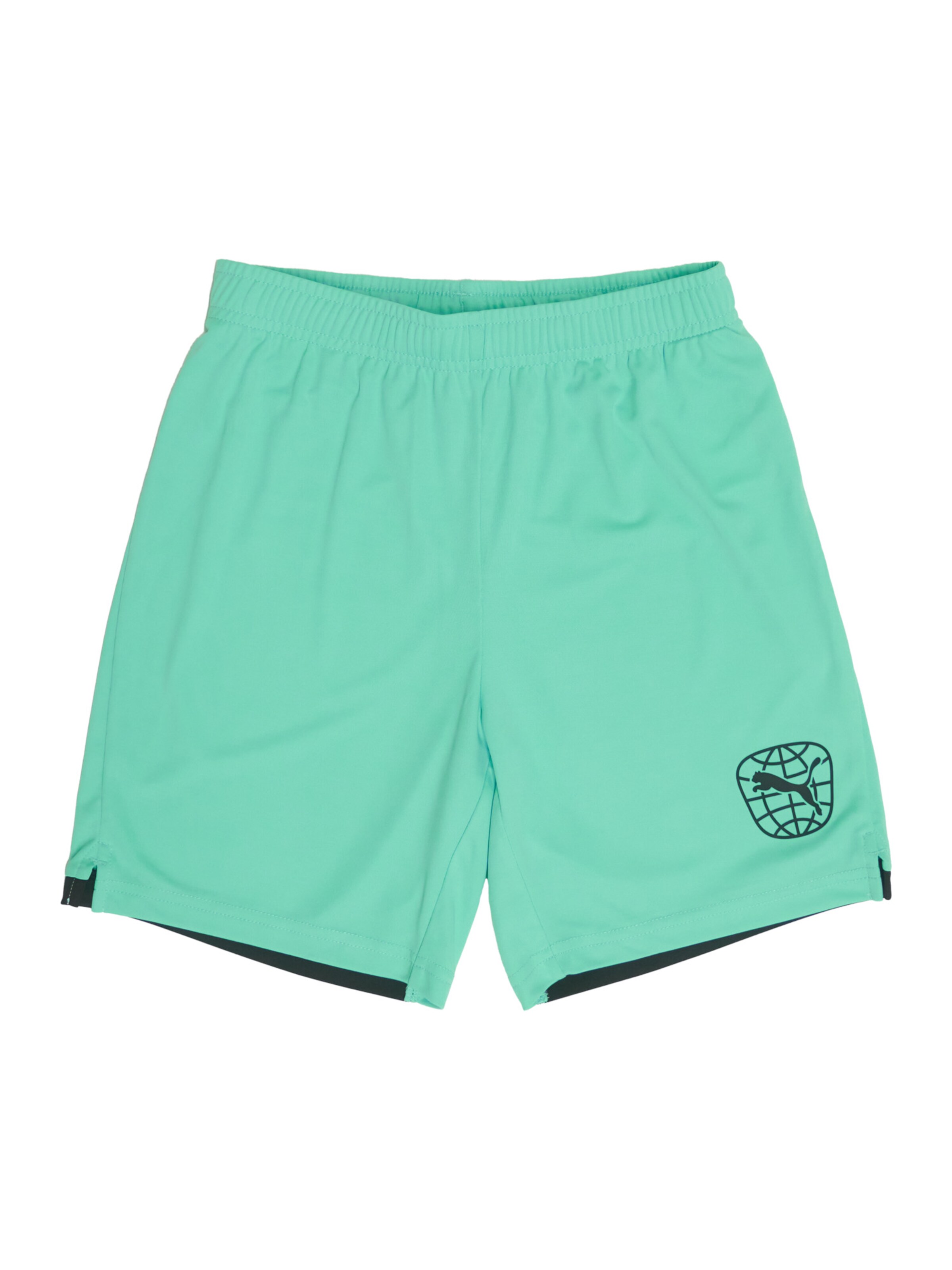 PUMA Workout Pants in Blue: front