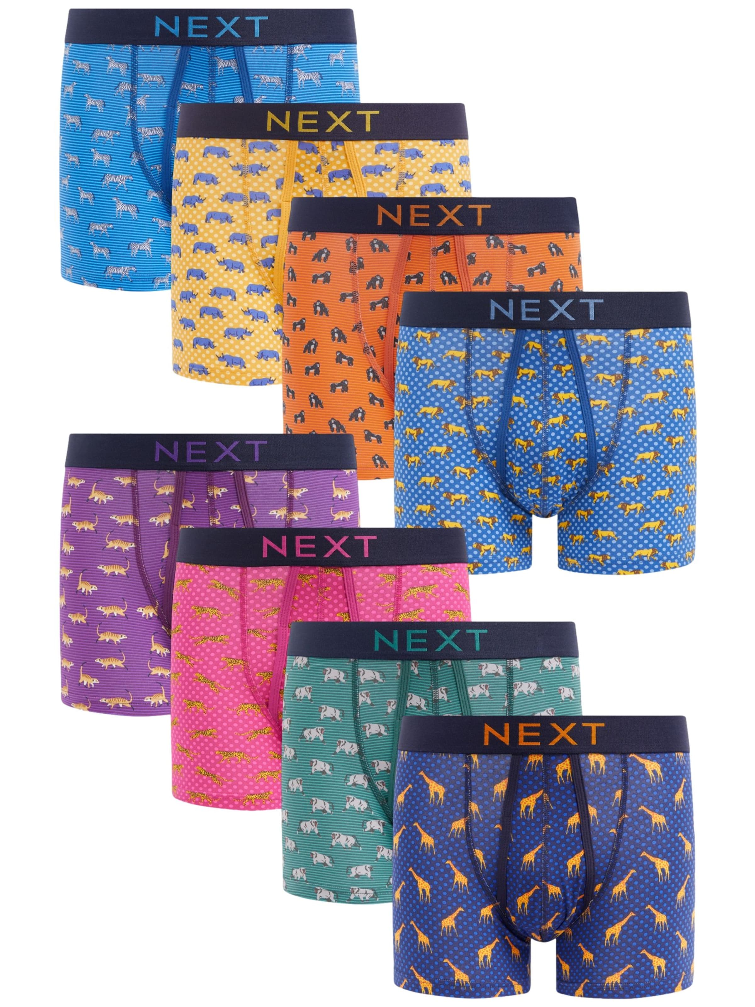 Boxer di Next in blu: frontale
