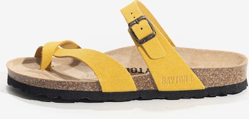 geltona Bayton Šlepetės per pirštą 'Triade': priekis