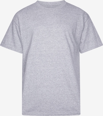 HNR LDN Shirt 'KOI ASH TEE' in Grey: front