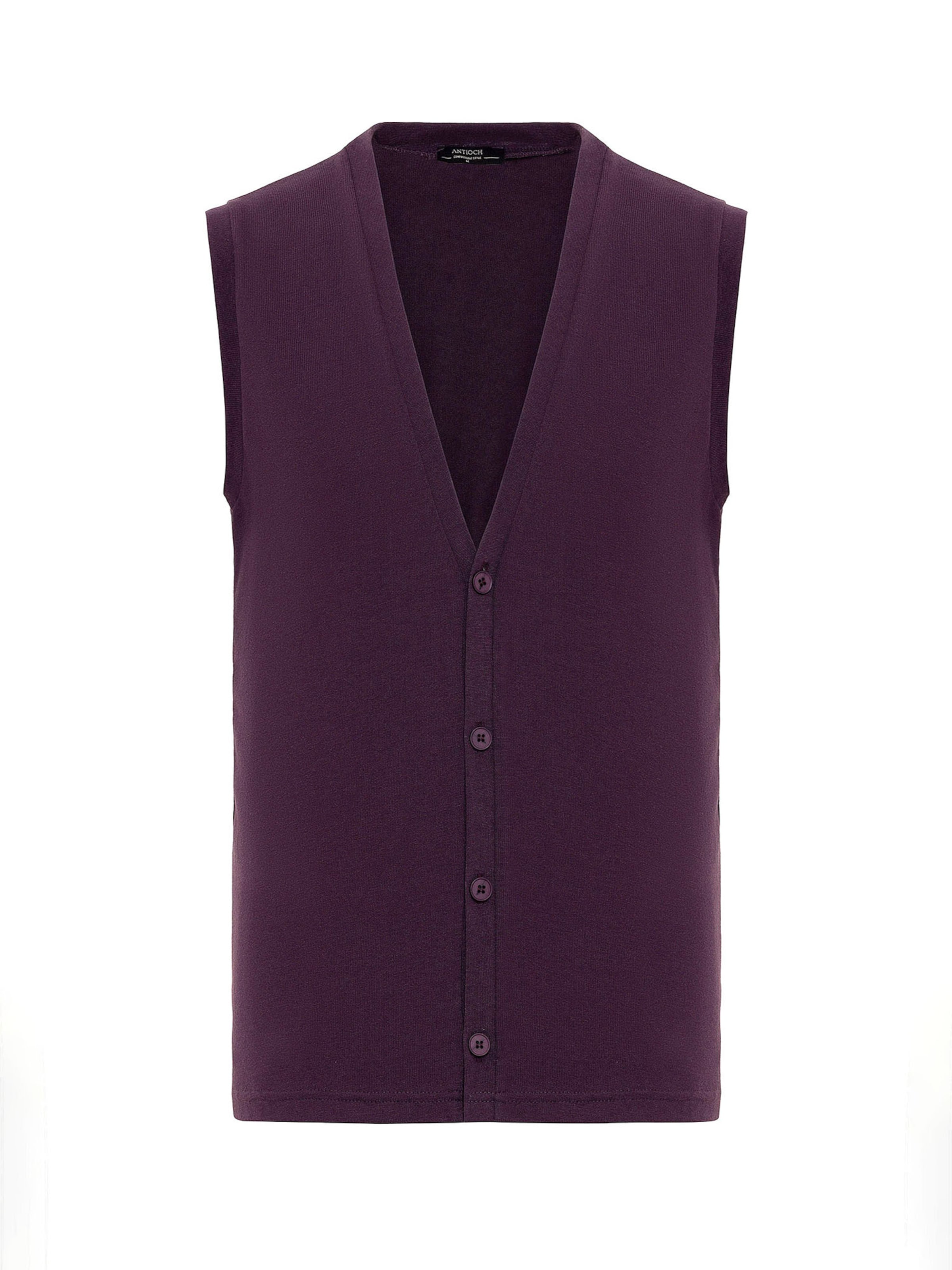Antioch Γιλέκο σε λιλά: μπροστά