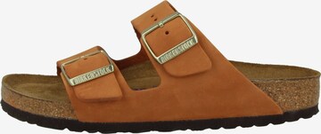 BIRKENSTOCK Mules 'Arizona' in Brown