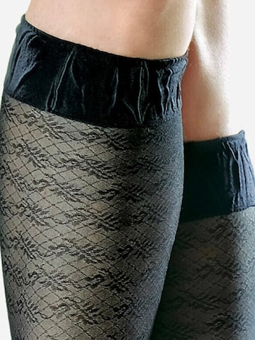 Lycille Knee High Socks in Black