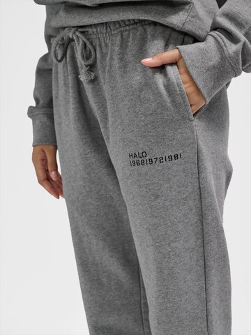 HALO Tapered Broek in Grijs