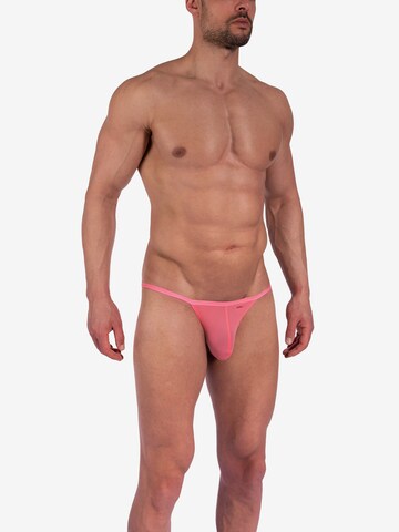 Olaf Benz Panty ' RED0965 Riotanga ' in Pink: front