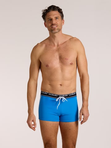 wavebreaker Swim Trunks in Blue