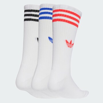 Chaussettes ADIDAS ORIGINALS en blanc : devant