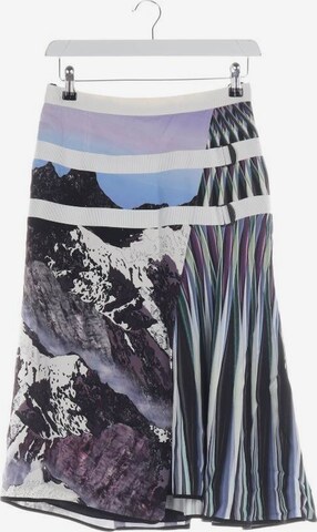PETER PILOTTO Skirt in XS in Mixed colors: front