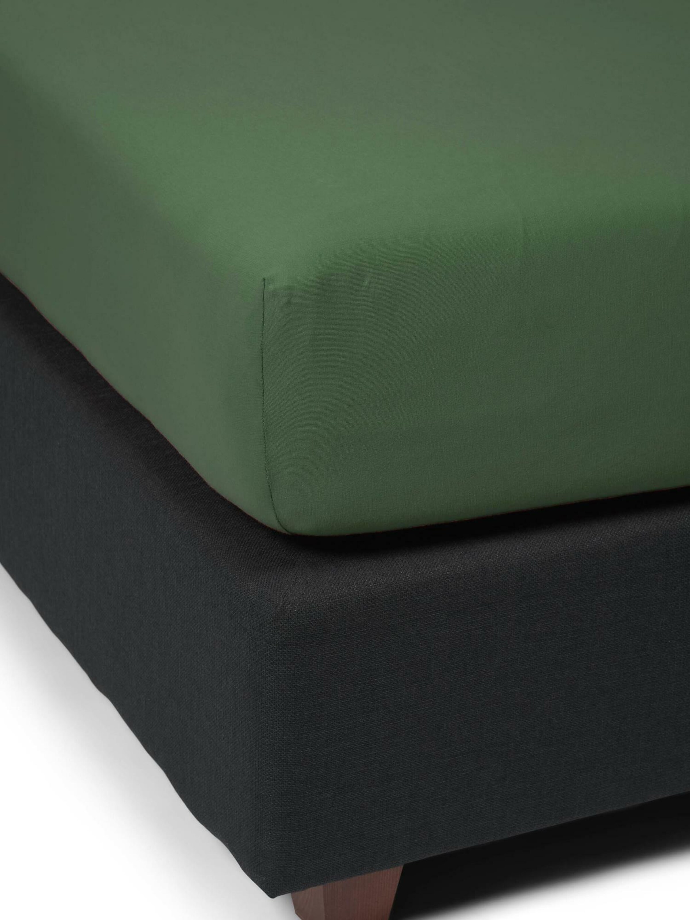 ESSENZA Bed Sheet in Green