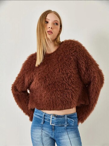 Bianco LucciPulover 'Pullover' - smeđa boja