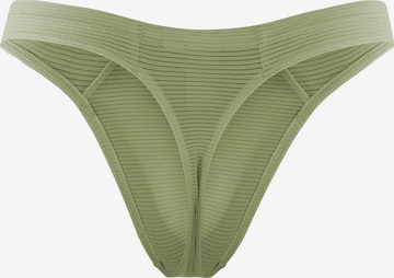 Olaf Benz Panty in Green