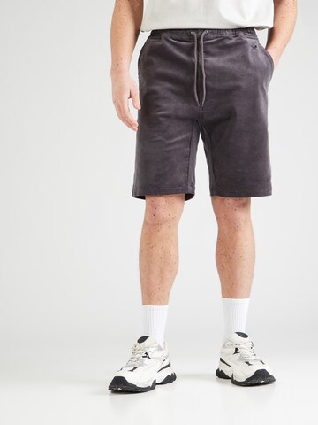 Regular Pantalon 'Corvin' Iriedaily en gris : devant