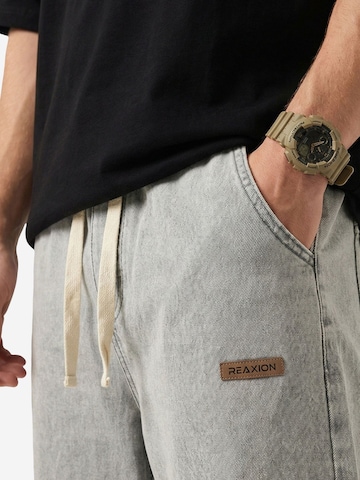 Bigdart Trousers 'Hose' in Grey