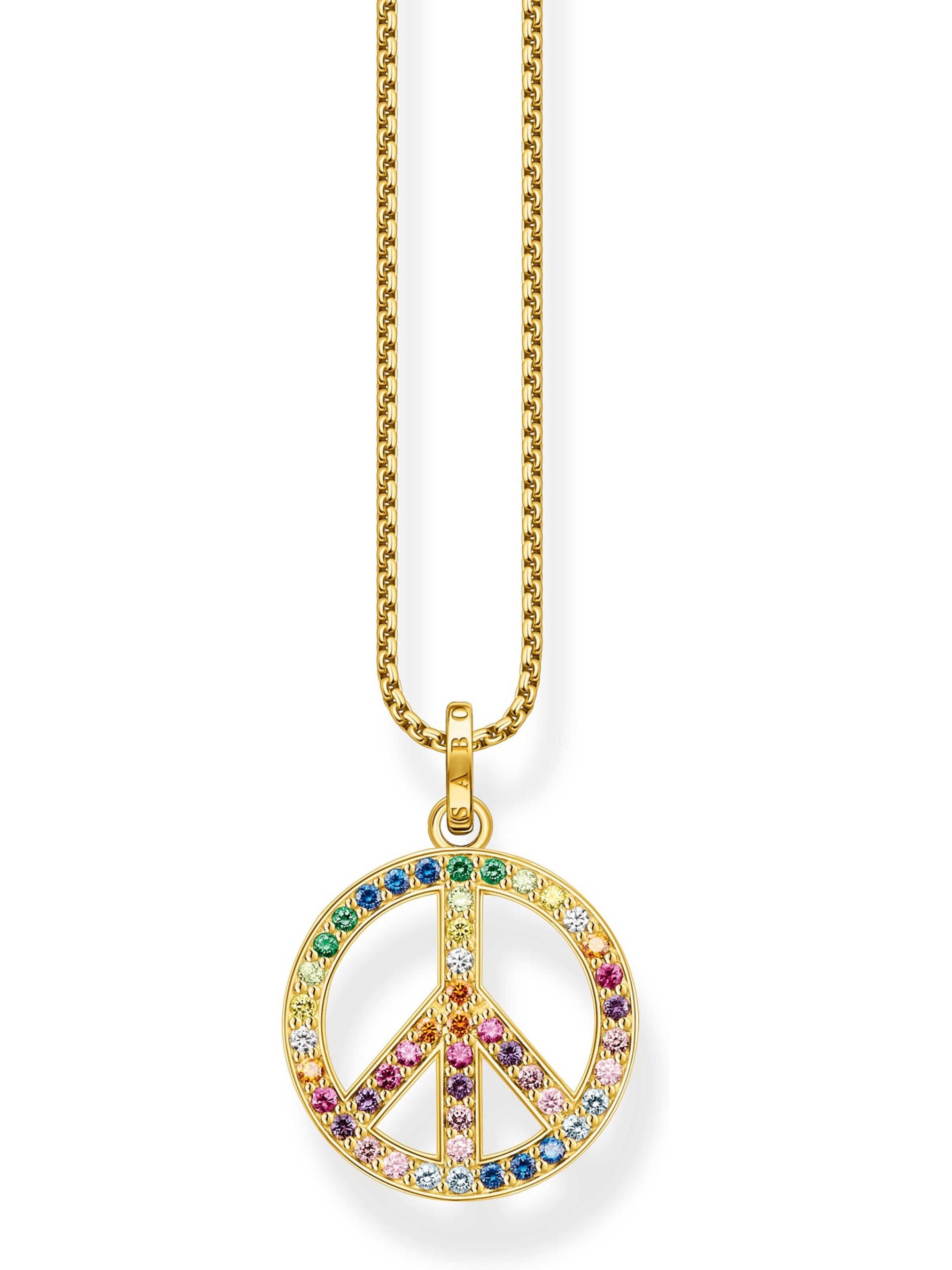 Thomas Sabo Ketting in Goud: voorkant