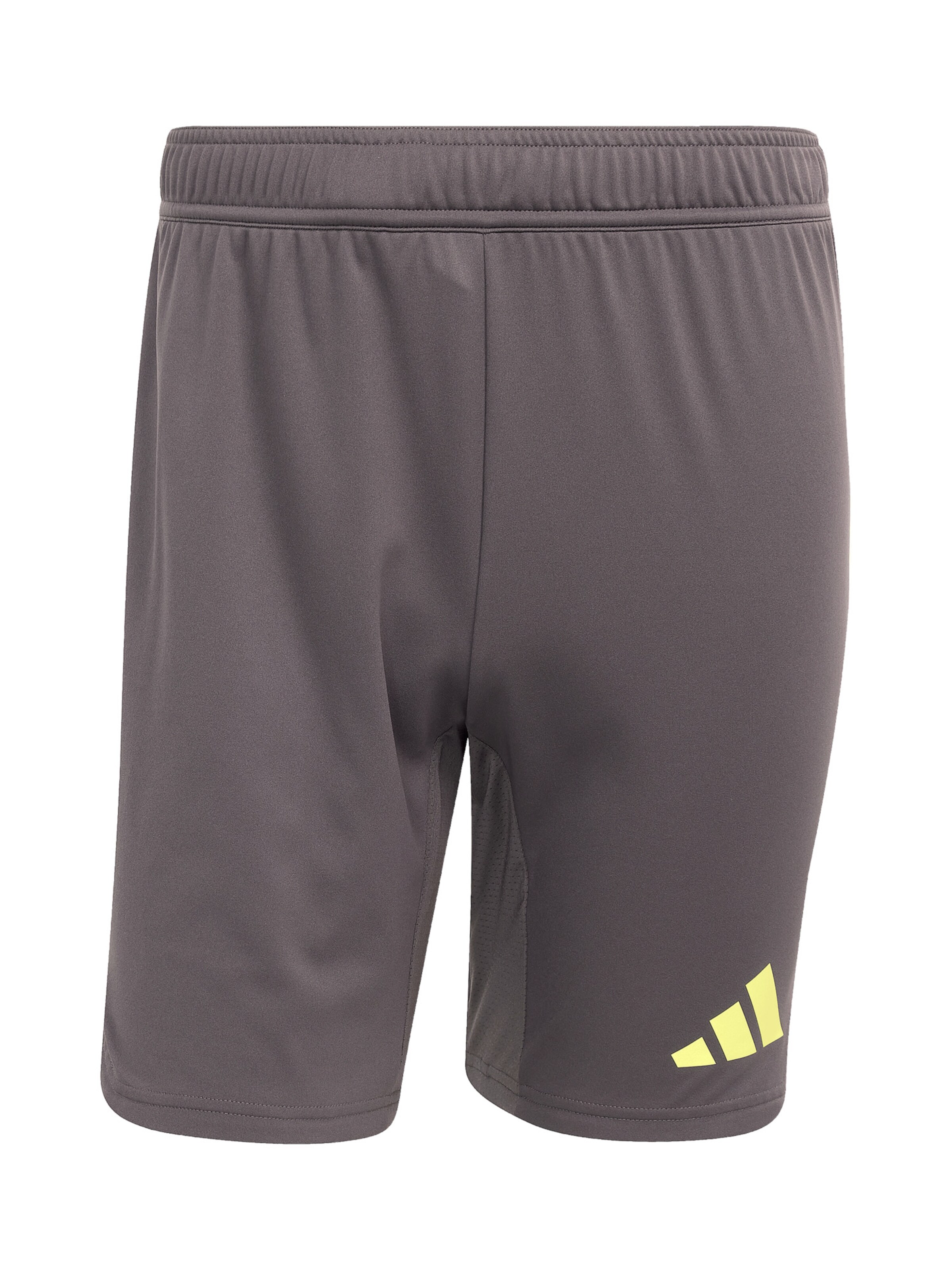ADIDAS PERFORMANCE Sportshorts 'Tiro 25 Pro' in Grau: Vorderseite