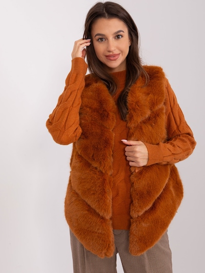 Madnezz House Vest '2349.00P' in Bronze, Item view