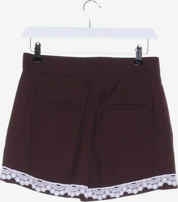 MSGM Shorts in XS in Brown