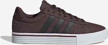 ADIDAS SPORTSWEAR Sneakers 'Daily 4.0' in Brown: front