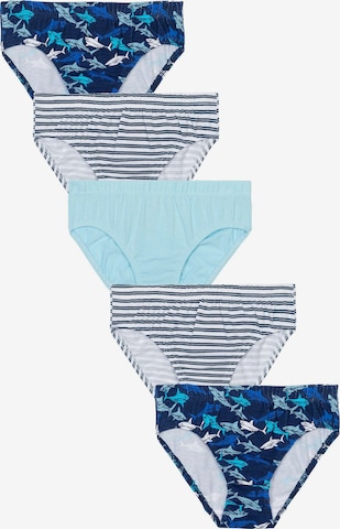 MINOTI Underpants in Blue: front