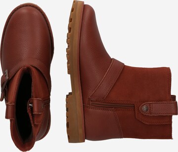 TIMBERLAND Boots 'Courma' in Brown