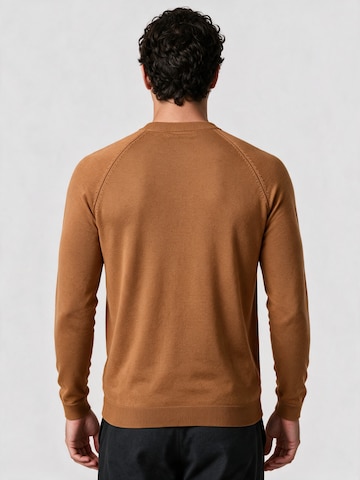 Pullover di Antioch in marrone
