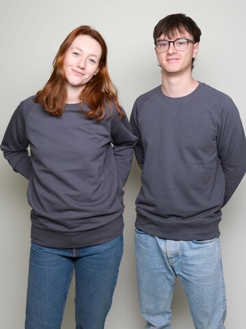 glore Sweatshirt 'Josef' in Grey: front