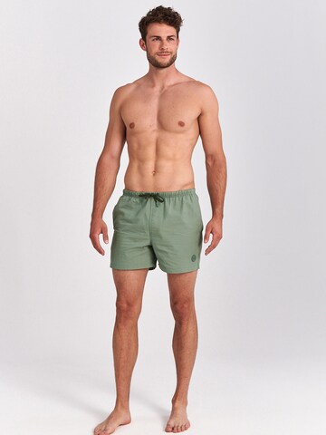 Shorts de bain Shiwi en vert