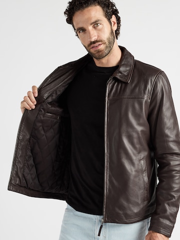 JCC Tussenjas 'Luca' in Bruin