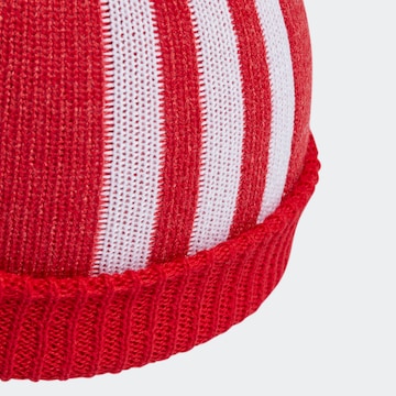 sarkans ADIDAS ORIGINALS Cepure 'Adicolor Cuff'