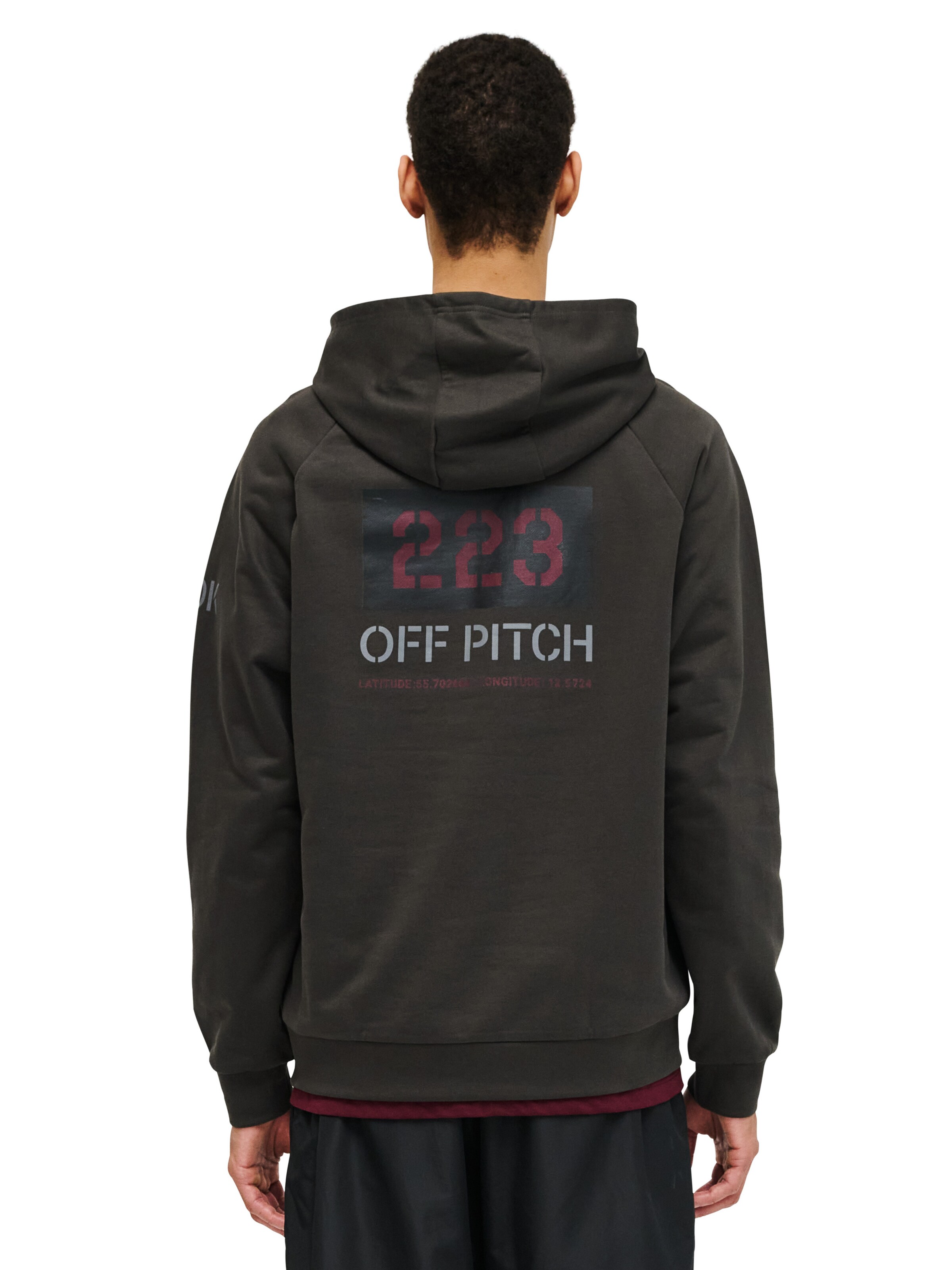 HALO Sweatshirt in Grey