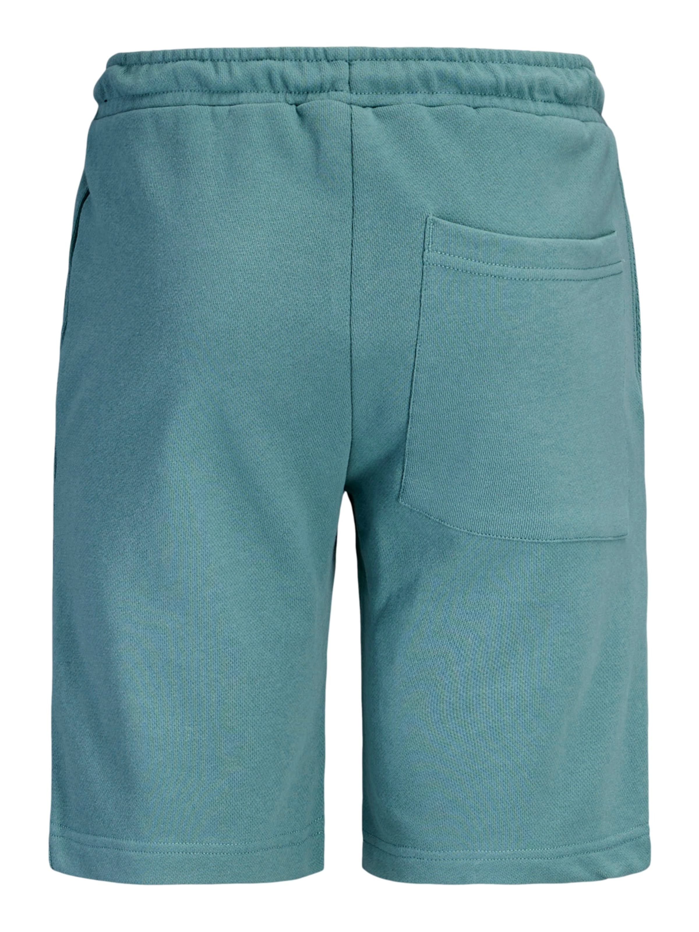 Jack & Jones Junior Regular Broek 'Gordon' in Blauw