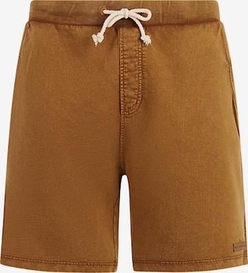 PROTEST Loosefit Broek 'CARVER' in Bruin: voorkant